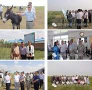 36365·֯Ÿɹźױпũҵ